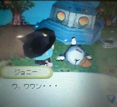ジョニー現る